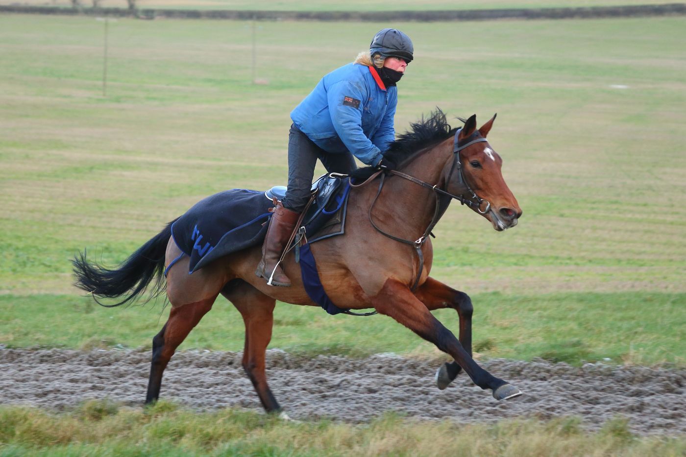 Behind the scenes: work riders
